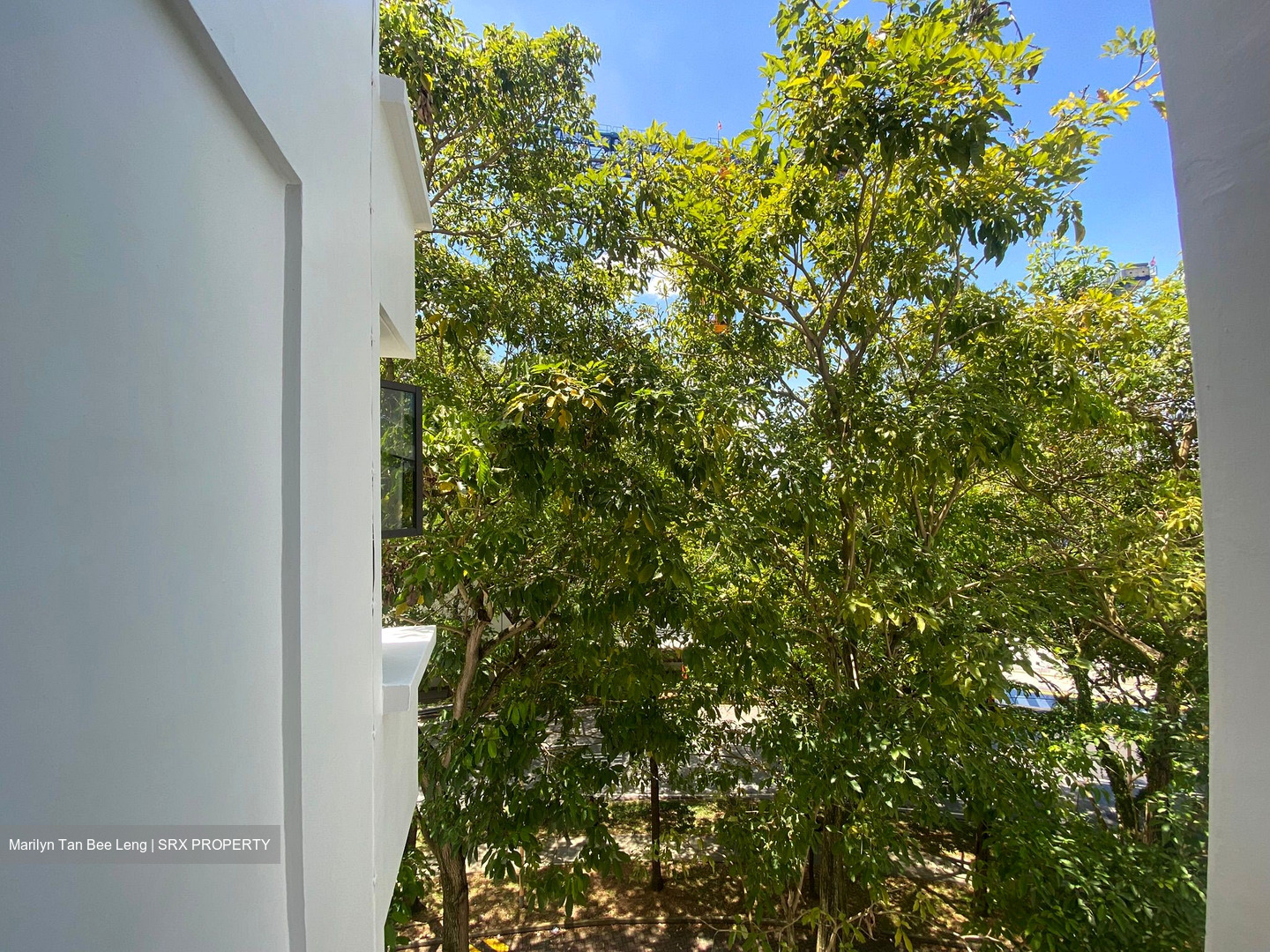 Blk 17 Jalan Tenteram (Toa Payoh), HDB 4 Rooms #482506861